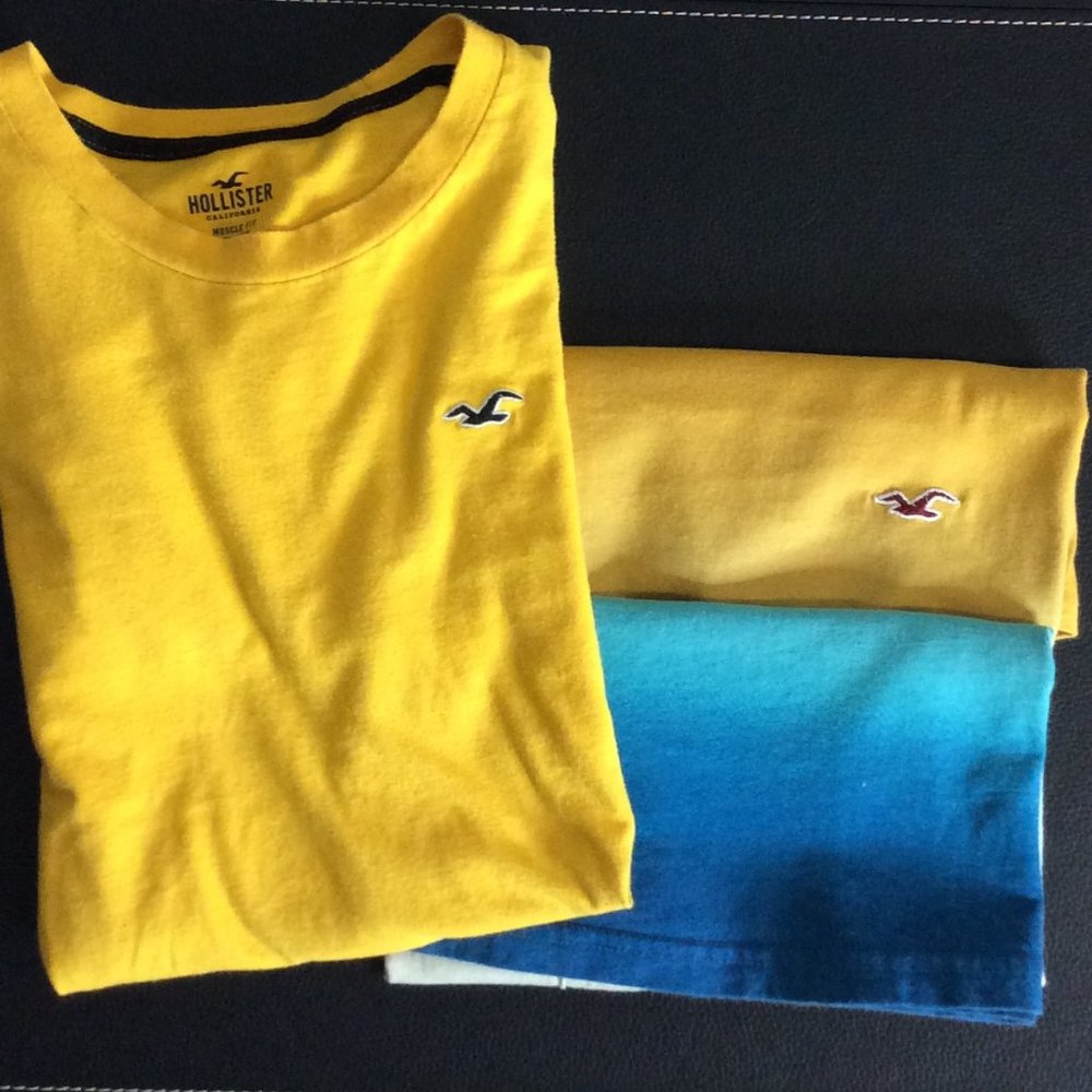 2 Hollister T-Shirts Size Small - Great Condition!